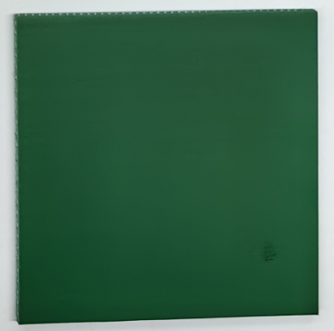 BF-009 BF-009