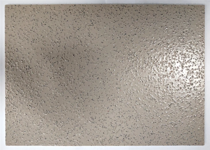 Bathroom PVC Safety Flooring